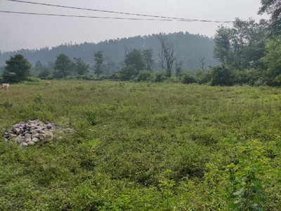Commercial Land 200 Bigha for Sale in Dhanaulti, Tehri Garhwal