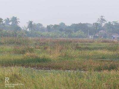 Industrial Land 200 Bigha for Sale in