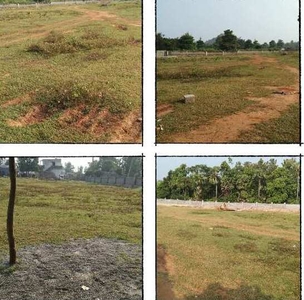 Residential Plot 200 Sq. Yards for Sale in