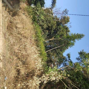Commercial Land 2000 Sq.ft. for Sale in Pakyong, Gangtok