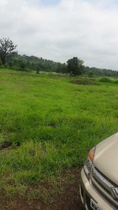 20000 Sq.ft. Agricultural Land for Sale in Pali, Raigad