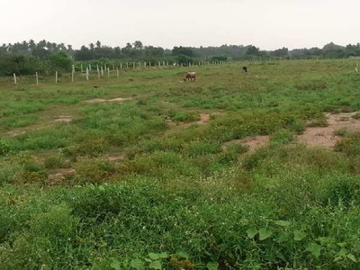 Agricultural Land 20000 Sq.ft. for Sale in Thadikombu, Dindigul