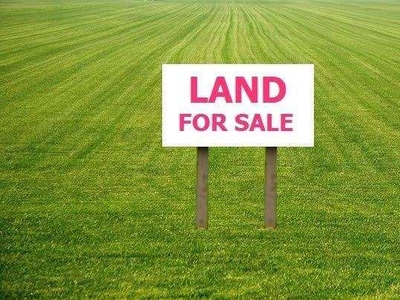 Agricultural Land 20000 Sq.ft. for Sale in VIP Road, Raipur