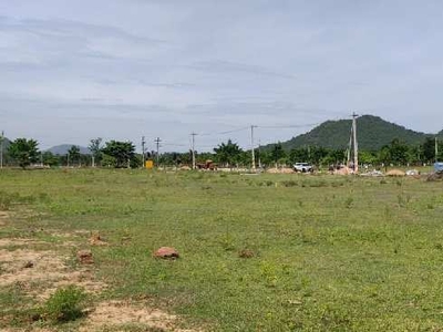 222 Sq. Yards Residential Plot for Sale in Anandapuram, Visakhapatnam