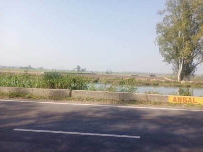 Industrial Land 24000 Sq. Yards for Sale in Canal Road, Ludhiana