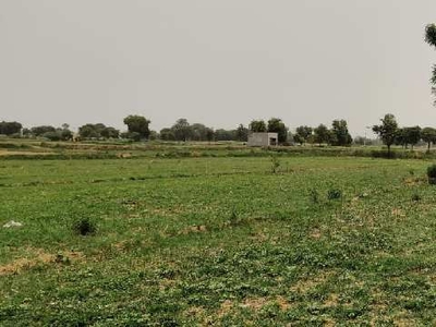 Agricultural Land 249 Marla for Sale in