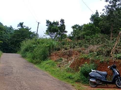 Residential Plot 25 Cent for Sale in Mananthavady, Wayanad