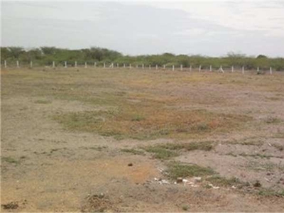 Industrial Land 250 Acre for Sale in Rajula, Amreli