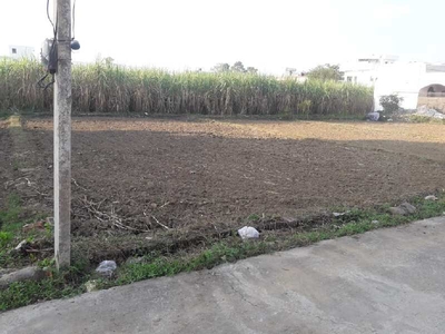 Residential Plot 250 Sq. Yards for Sale in Badripur, Dehradun