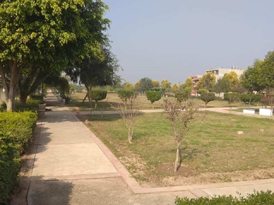 Residential Plot 250 Sq. Yards for Sale in Sector 104 Mohali