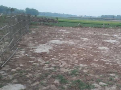 2733 Sq.ft. Residential Plot for Sale in Madhubani, Purnia