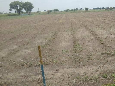 Agricultural Land 27500 Sq.ft. for Sale in