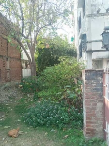 2960 Sq.ft. Residential Plot for Sale in Gaya Kali Bari,