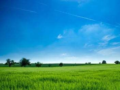Agricultural Land 3 Acre for Sale in NH 1, Sonipat