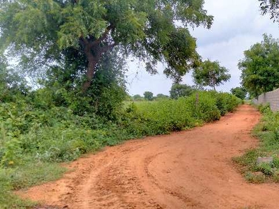 Agricultural Land 3 Acre for Sale in Shabad, Rangareddy