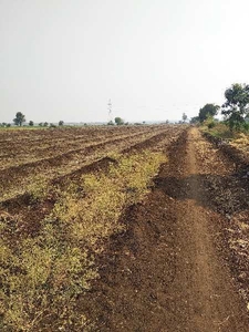 Agricultural Land 3 Acre for Sale in Shirur, Pune
