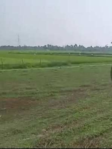 Agricultural Land 3 Bigha for Sale in Rajpur Sonarpur, South 24 Parganas