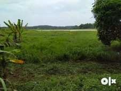 Agricultural Land 30 Cent for Sale in Palissery, Thrissur
