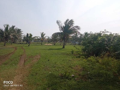 Industrial Land 32 Cent for Sale in Amalapuram, East Godavari