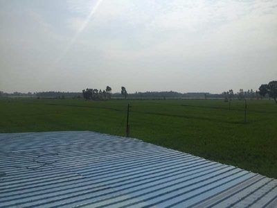 Agricultural Land 35 Acre for Sale in Naraingarh, Ambala