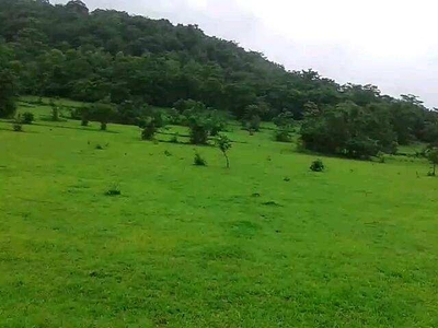 Agricultural Land 350 Acre for Sale in Mhasla, Raigad