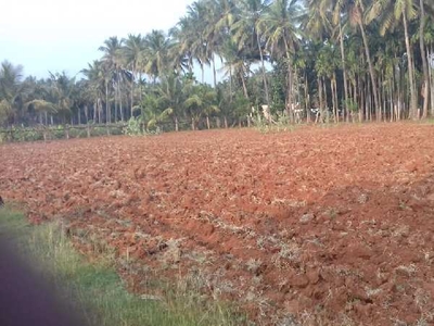 Agricultural Land 37 Cent for Sale in Pooluvapatti, Coimbatore