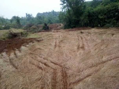 Industrial Land 370 Acre for Sale in Roha, Raigad