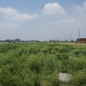 Commercial Land 3819 Sq. Yards for Sale in