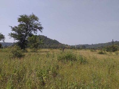 Agricultural Land 4 Acre for Sale in Shahapur, Thane