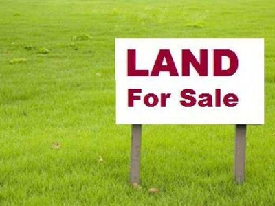 Agricultural Land 4 Acre for Sale in Shankarpally, Hyderabad