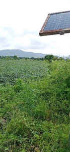 Agricultural Land 4 Bigha for Sale in Simrol, Indore