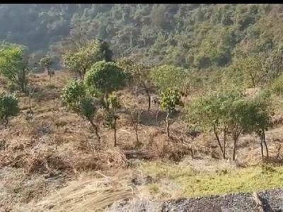 Agricultural Land 42 Bigha for Sale in Mussoorie, Dehradun