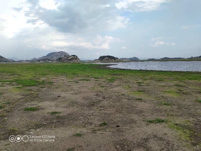 Agricultural Land 48 Hectares for Sale in