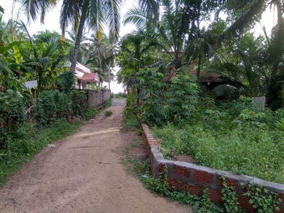 Residential Plot 5 Cent for Sale in Beypore, Kozhikode