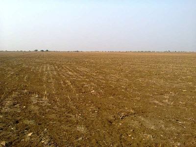 Agricultural Land 50 Cent for Sale in Sattur, Virudhunagar