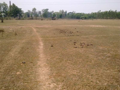 Industrial Land 5000 Sq. Meter for Sale in Site 4 Sahibabad, Ghaziabad