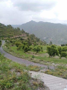 Commercial Land 5050 Sq. Meter for Sale in Neelkanth Road, Rishikesh