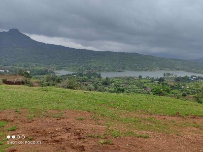 Agricultural Land 6 Acre for Sale in Malavli, Pune