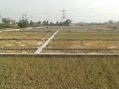 Agricultural Land 6 Acre for Sale in Nanak Heri Delhi