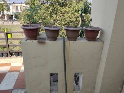 6 BHK House 4000 Sq.ft. for Sale in Baraut, Baghpat