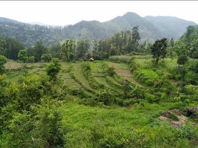 Agricultural Land 6 Bigha for Sale in Ring Road, Dehradun