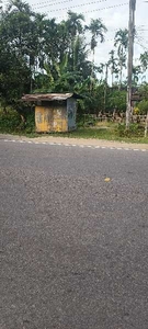 Commercial Land 60 Sq.ft. for Sale in Silapathar, Dhemaji