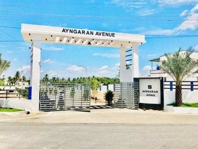 Ayngaran avenue