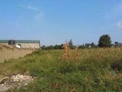 Industrial Land 6000 Sq. Yards for Sale in