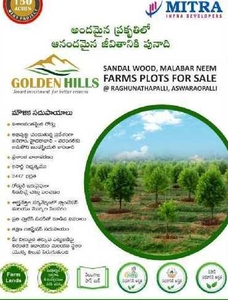 Agricultural Land 605 Sq. Yards for Sale in Raghunathapally, Warangal