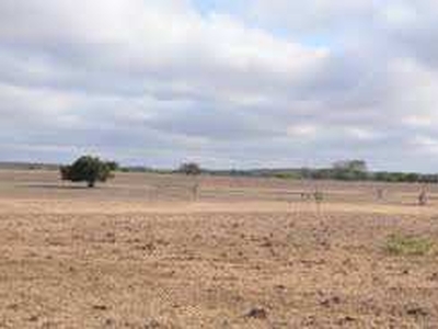 Commercial Land 6159 Sq. Yards for Sale in