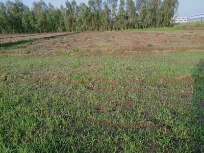 Agricultural Land 6300 Sq.ft. for Sale in