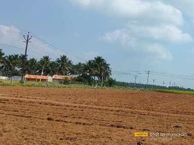 Agricultural Land 7 Acre for Sale in Periyapatti, Tirupur