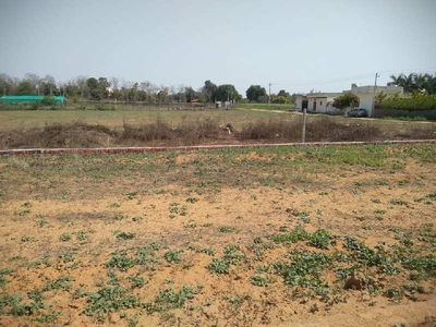 Residential Plot 70 Sq. Yards for Sale in Sadrana, Gurgaon