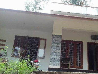 Residential Plot 750 Sq.ft. for Sale in Thamarassery, Kozhikode